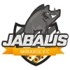 Jabalis Mirasol