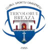 CS Tricolorul Breaza