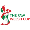 Cúp Wales
