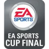Dublin Super Cup