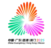 Chinese National Games