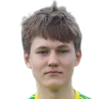 Arttu Tulehmo