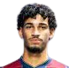 Fabri