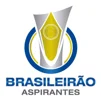 Giải bóng đá U23 Aspirantes, Brazil