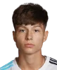 Esmir Bajraktarević