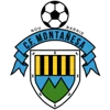 CF Montanesa