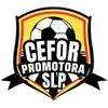 Cefor Promotora San Luis
