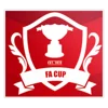 Chinese Hong Kong FA Cup