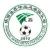 Shaanxi Jiaxin Weiye Football FC