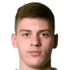 Vladimir Perisic