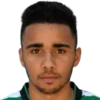 leandro andrade