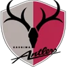Kashima Antlers (Youth)