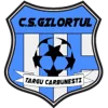 CS Gilortul Targu Carbunesti