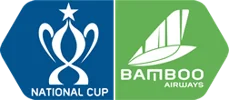 Vietnam National Cup